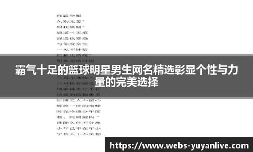 雨燕体育直播