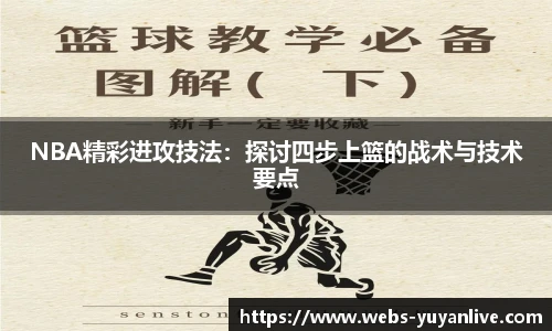 雨燕直播