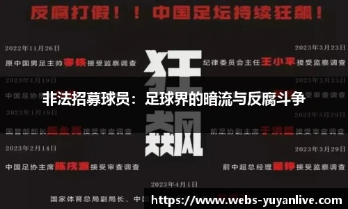 雨燕高清直播