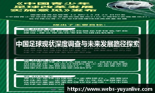 雨燕高清直播