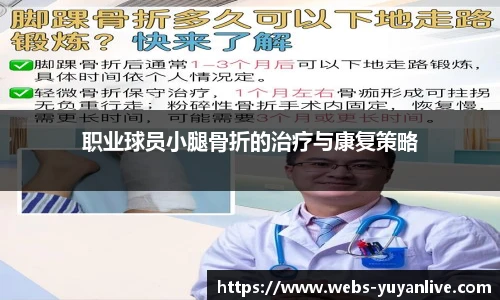 雨燕体育