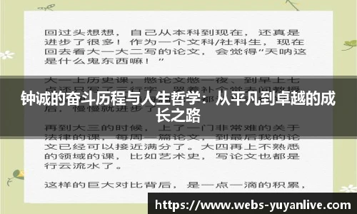 雨燕直播