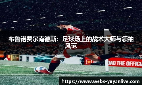 雨燕直播