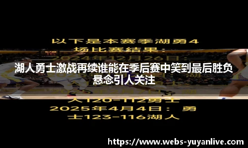 雨燕直播