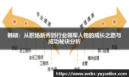 雨燕体育