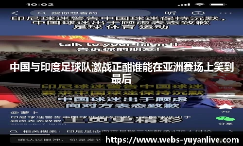 雨燕直播