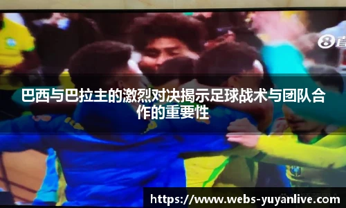 雨燕直播