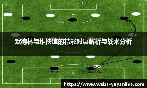 雨燕高清直播