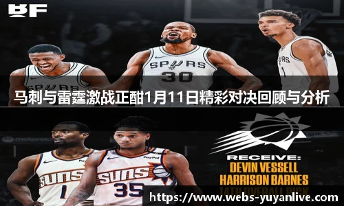 雨燕高清直播